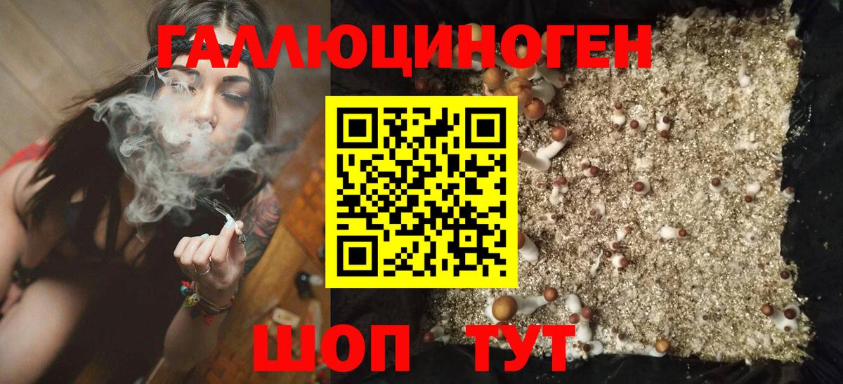 дарнет шоп  Галлюциногенные грибы Cubensis  Вход с VPN  Новокубанск 